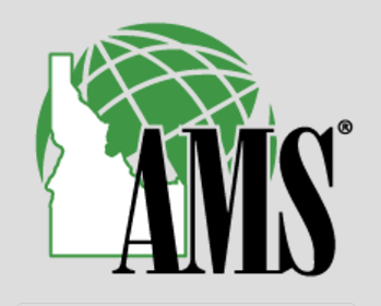 AMS
